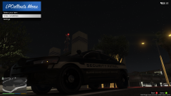 Blaine County Security Services Taurus (All Amber)