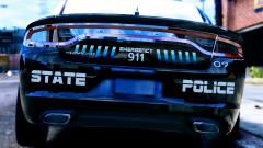 Possibly New State Police Skin?