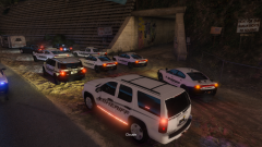 LSSO raids local cult.