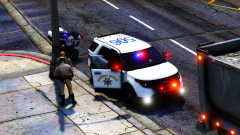 CVE Traffic Stop