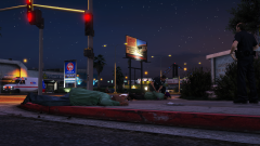 Arresting Gang Members