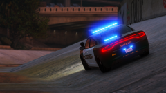 Blue Is Love, Blue Is Life.