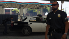 Searching in the trunk