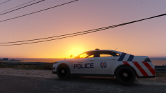 Singapore Police Force