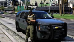 K-9 Break