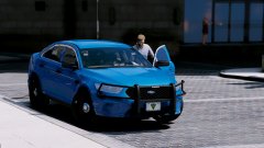 W.I.P SAHP Pack (west virgina STYLE) / Unmarked FPIS done