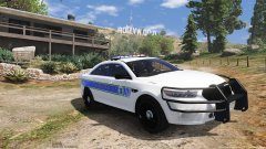 Irvine pd skin for fpis