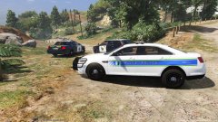 orange county sheriff and irvine pd skin WIP