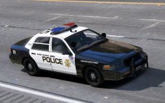 Sandy Shores Police Department