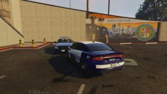LSPD 3.jpg