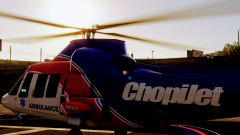 Early Morning Arrival