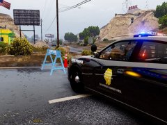 SA State Trooper Helping Local Law Enforcement