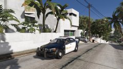 ls county patrol