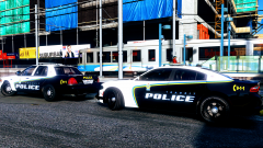 Transit Police Doing as They Do