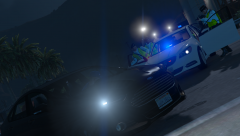 VIGIPIRATE - Aéroport