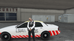 LSIA Security Unit WIP