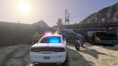 Lady, what are you doing?