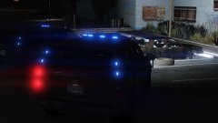 K9 Units find hidden drugs!