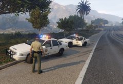 Sheriff's Patrol 10-15
