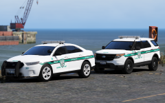 Interceptors
