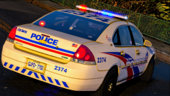 Wrapping Up the Pack