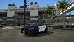 airport police