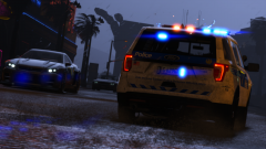 Thunderstorm + Code 3 = Picture Time