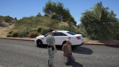 reckless driver detained