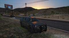 Twiggs County GA K9 Tahoe