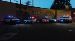 Los Santos PD Fleet At Night