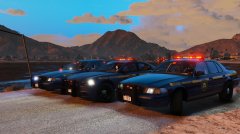 NYSP Fleet In Los Santos