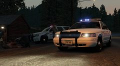 Paleto Bay Police