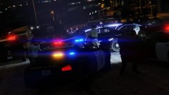 Hands up! We got you now buddy!