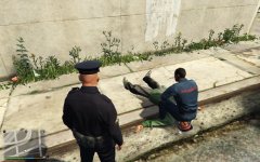 What does the paramedic do?