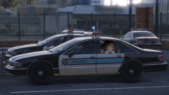 Honkers gone bonkers