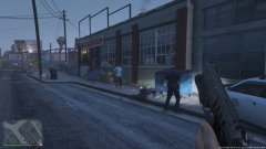 Bystander records arrest