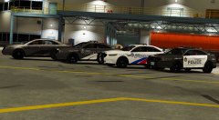 Different Flavours of Toronto Police