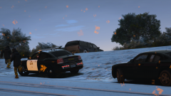 Early Morning Response to a MVA