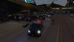 chaos on the freeway