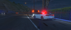 SAHP Traffic Stop Driver Possibly Has a Warrant