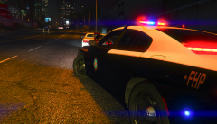 LSPD Calls for State Patrol In Problem Areas