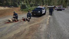 mountain lion attacks civilian