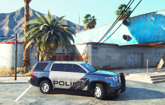 SANDY SHORES POLICE