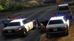 Felony stop gone bad