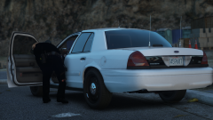 What ya lookin' for?