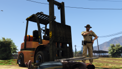 "Code 4, no further assistance needed"