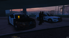 LSPD Airport watchers