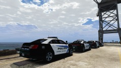 Some new/old skins for the LSPD