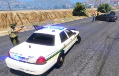 You Will Drop that Gun!