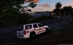 Hays County Sheriff K-9 Tahoe